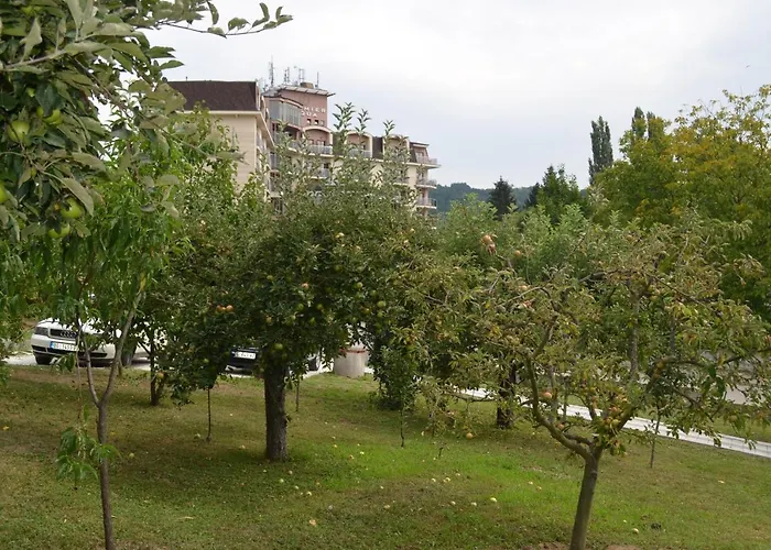 Ana ヴルドニーク