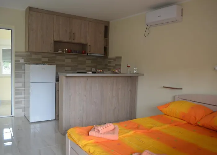 Ana ヴルドニーク