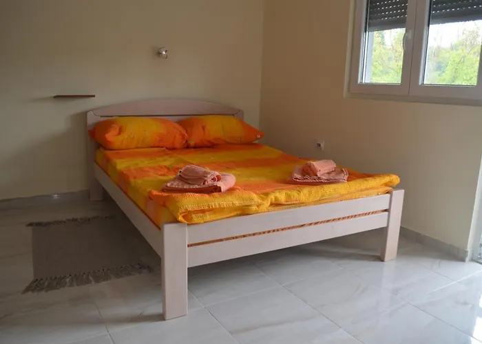 Ana * ヴルドニーク