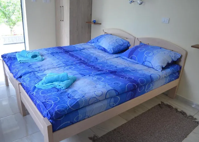 Ana ヴルドニーク