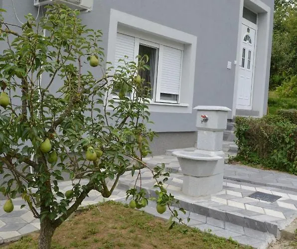 Ana * ヴルドニーク